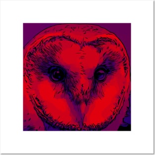 Owl Cool Cute Wise snowy Crazy Design Posters and Art